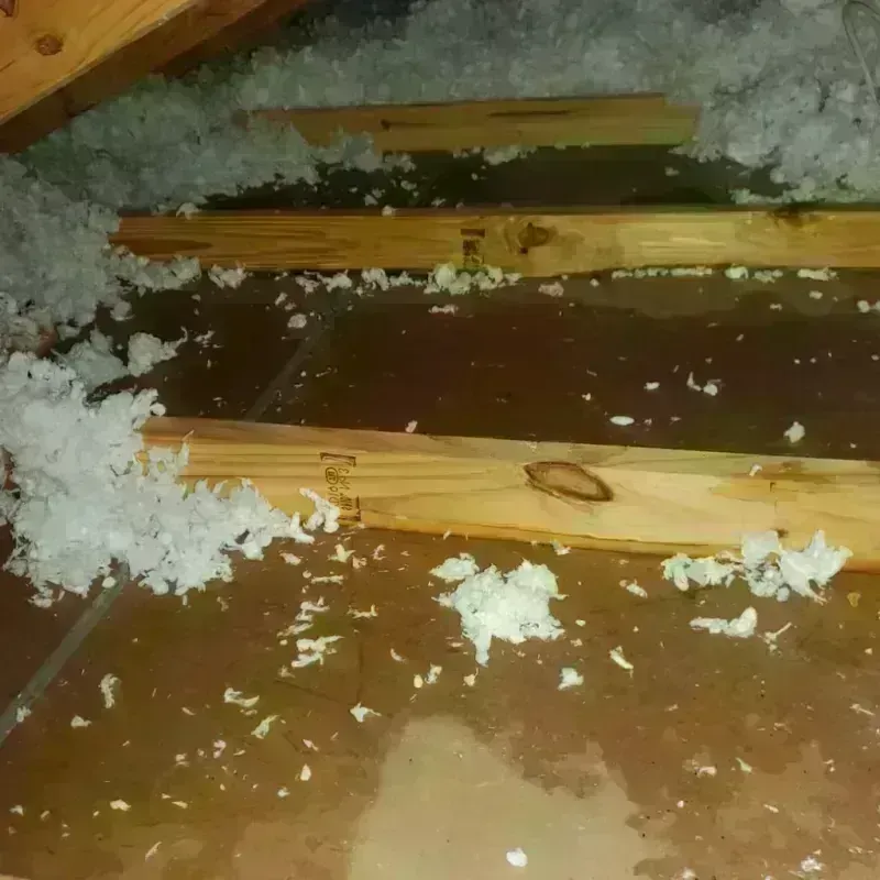 Attic Water Damage in Girard, PA